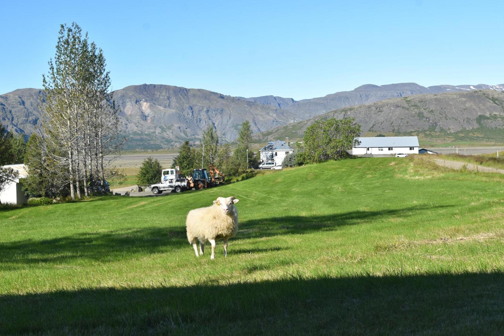 Bed & Breakfast Glacier World - 3*