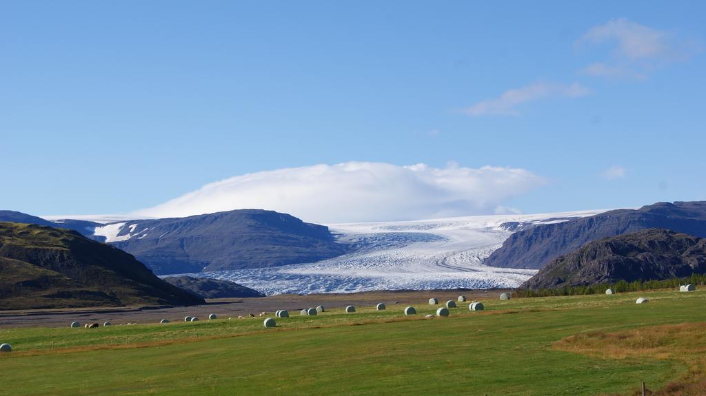 Glacier World -